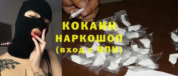 шишки Алексин
