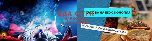 эйфоретик Магас