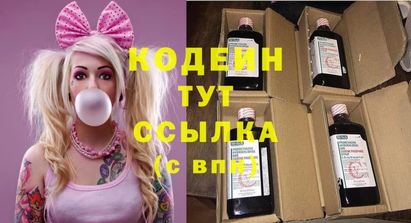 прущий лед Алзамай