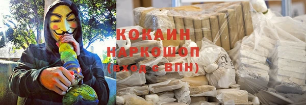 прущий лед Алзамай