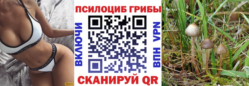 Псилоцибиновые грибы Psilocybine cubensis дарнет шоп Керчь